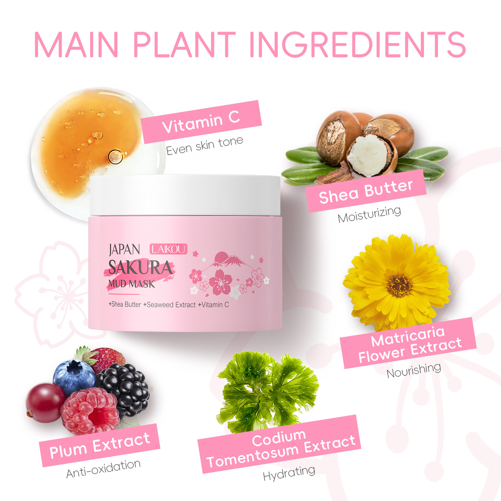 LAIKOU Sakura Clay Mask 25g 90 – обзор и цена Dust Mask Construction